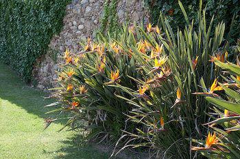 Holiday home I Cormorani *